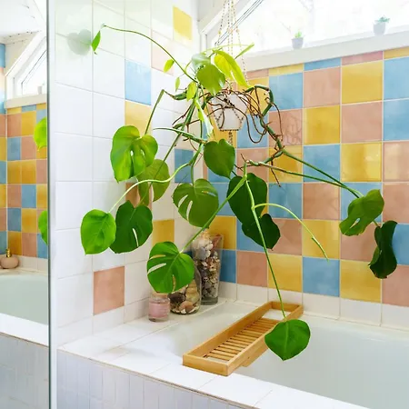 Appartement Arctic Bohemian *